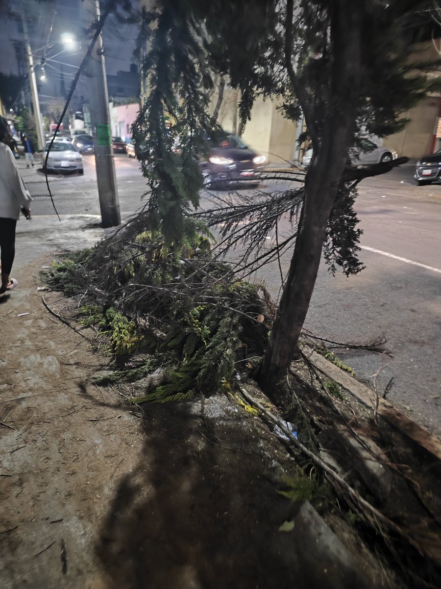 esteflna's tweet photo. Estimado @yancolozano @TuAlcaldiaGAM Vinieron muy frescos los de @Megacable a arreglar sus cablecitos, tumbaron los árboles de afuera de mi casa y ya no volvieron para recoger nada ¿ahí qué se hace? 😝 https://t.co/0ep3jjN7nm
