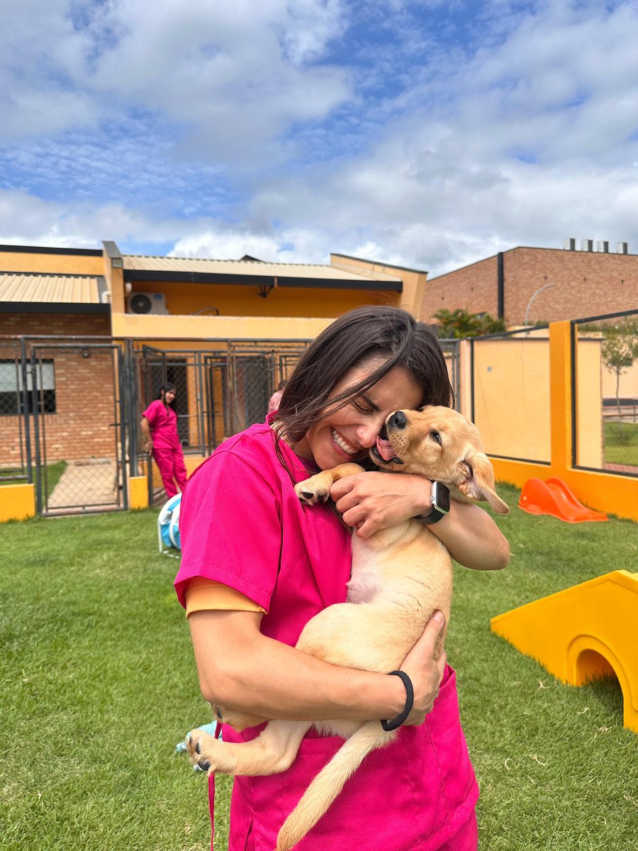 Reeh Fernanda tweet media