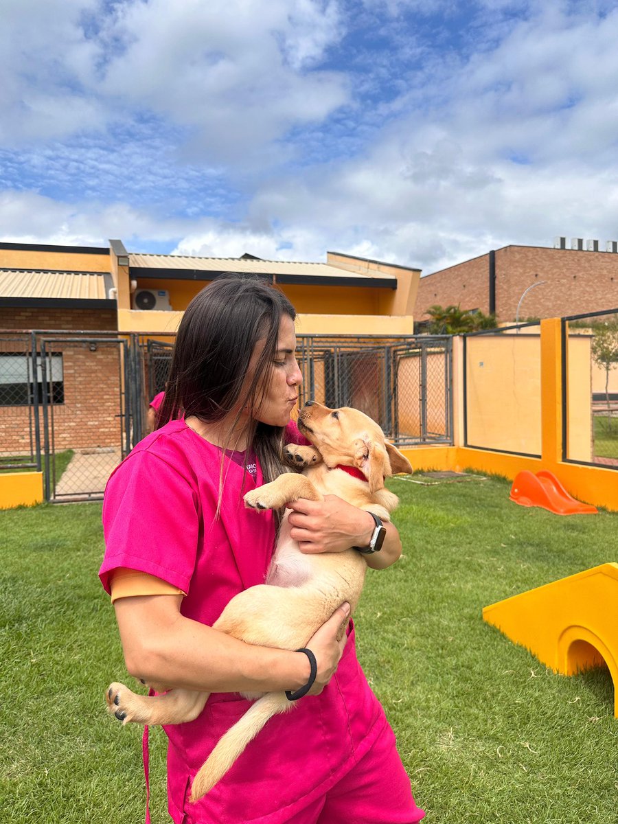 Reeh Fernanda tweet media