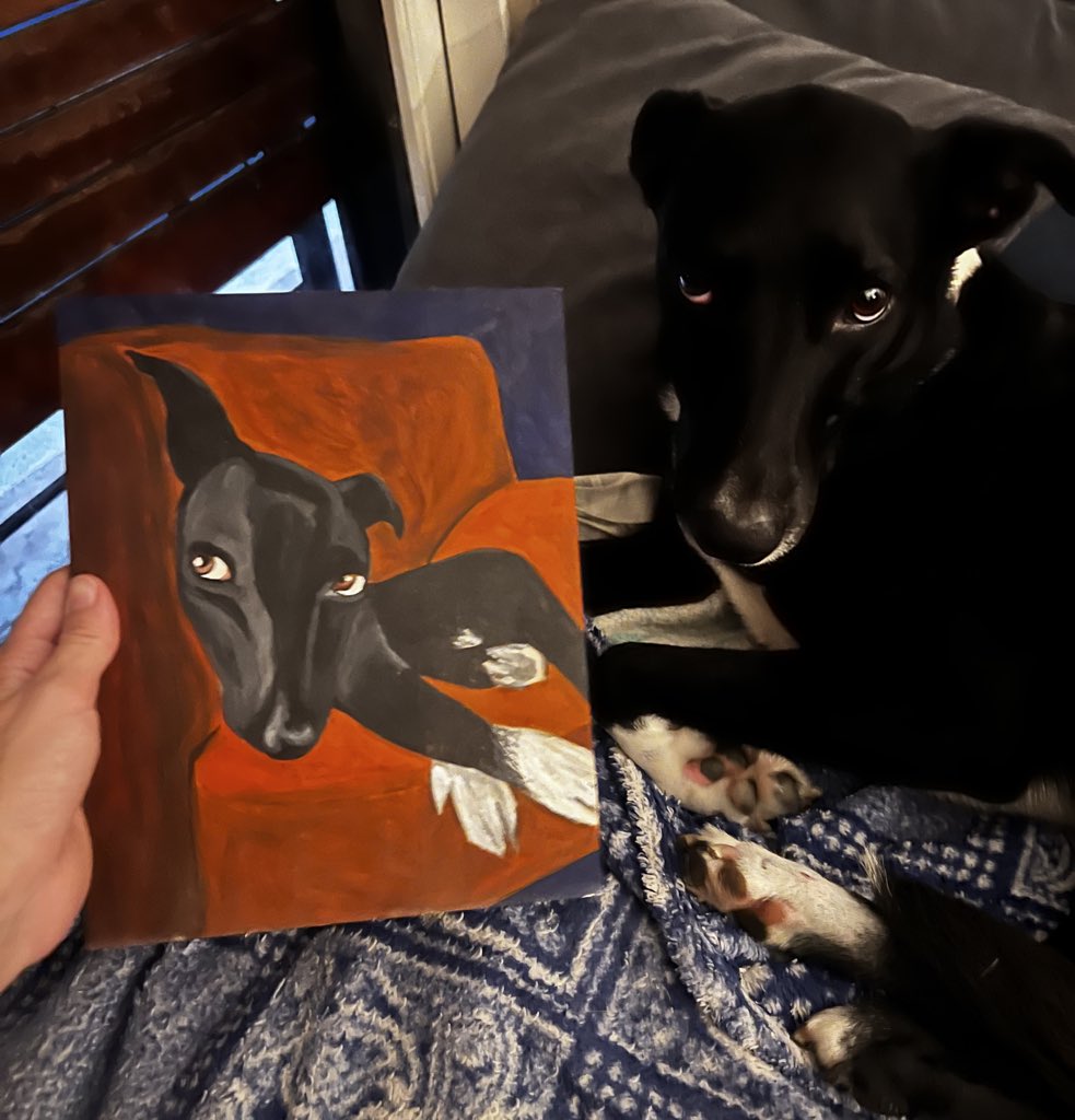 Mi prima supo muy bien retratar miradas caninas