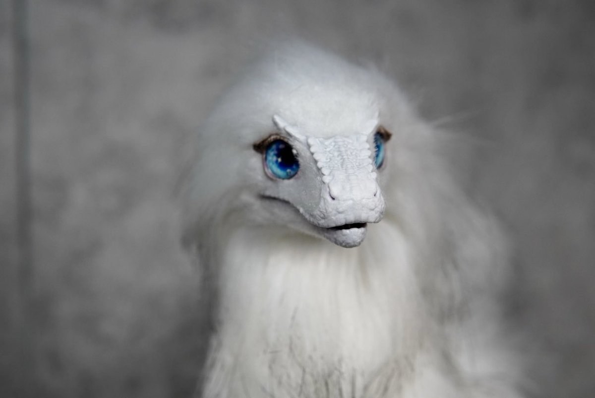 CAVALISA/アートドール作家 (@to_aves) / Posts / X