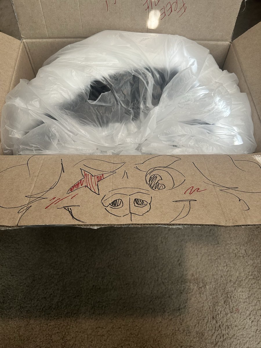 dog yapping bc he’s shadowbanned🏔️ 🔜 AWU’26 tweet media