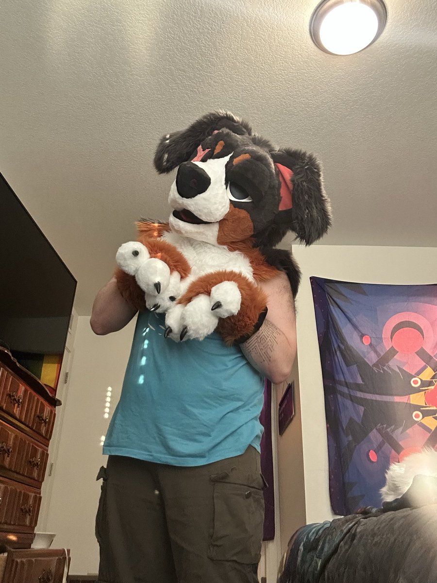 dog yapping bc he’s shadowbanned🏔️ 🔜 AWU’26 tweet media