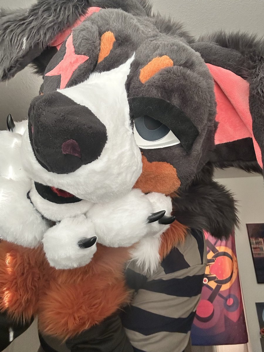 dog yapping bc he’s shadowbanned🏔️ 🔜 AWU’26 tweet media