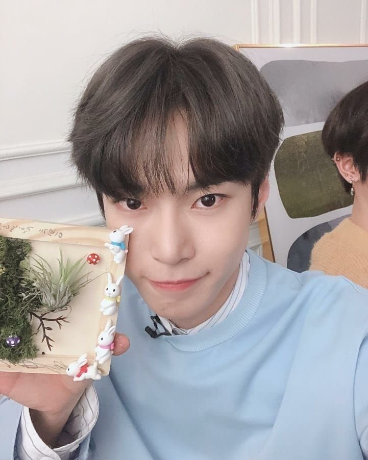 🐰🐰🐰