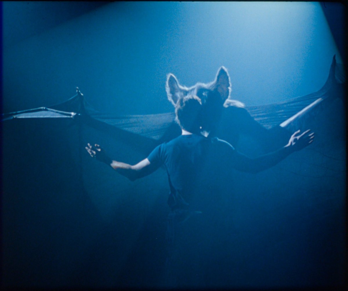 We’ve heard that Netflix has given up, and Paramount is about to hit the home stretch for buying WB, DC and other properties. If that’s the case, then we should be happy we still got physical media and theatrical release. Well <a href="/ParamountPics/">Paramount Pictures</a> <a href="/wbd/">Warner Bros. Discovery</a>…#ReleaseTheSchumacherCut!