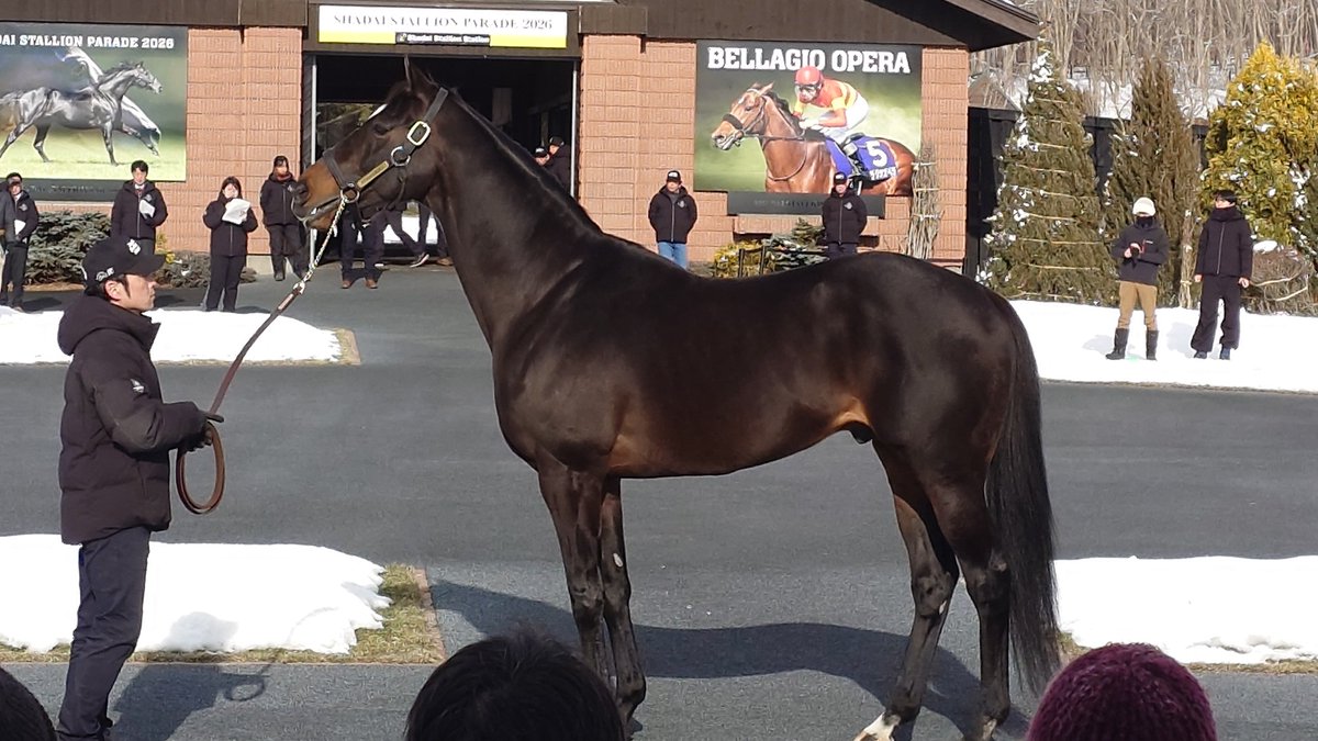 キタサンブラック