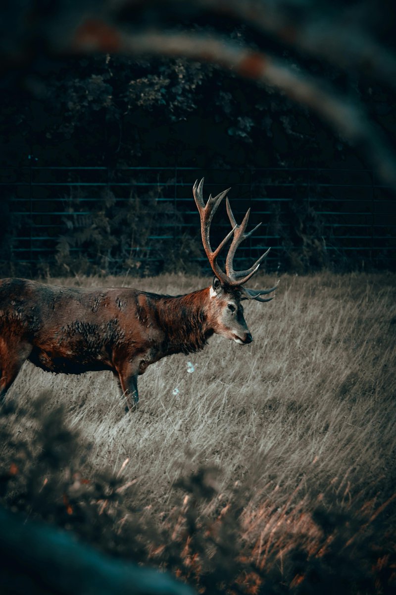 EliteHuntingSup's tweet photo. In Development
Your future hunting gear source is under construction.

https://t.co/C9ZHOXvQbz

#huntingstore #huntersdaily #outdoortradition #huntlifeusa #sportsmenlife #fieldtested #elitehunting https://t.co/vJZYUTQGVg