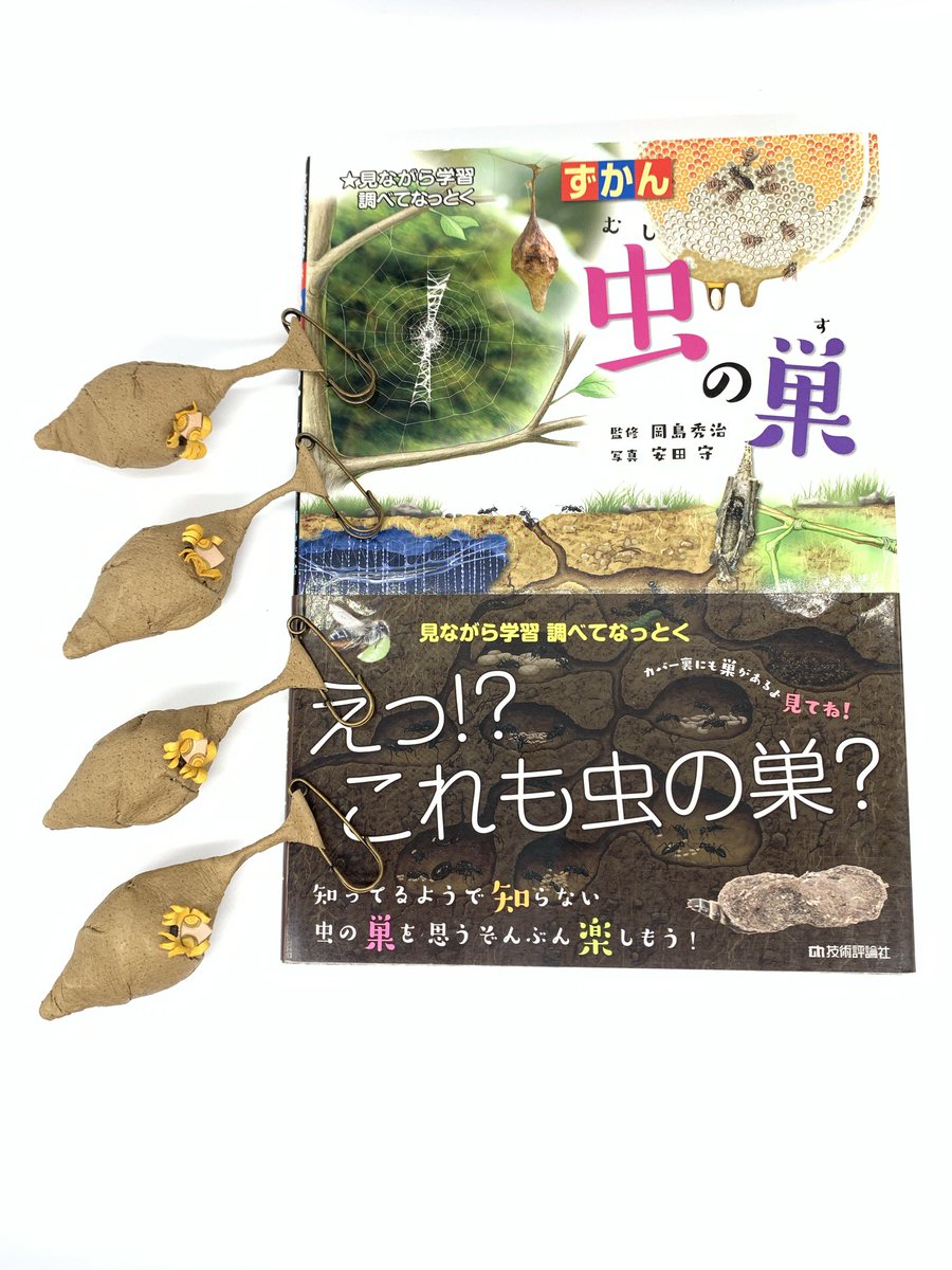 あまのじゃくとへそまがり (@amaheso_sp) / Posts / X