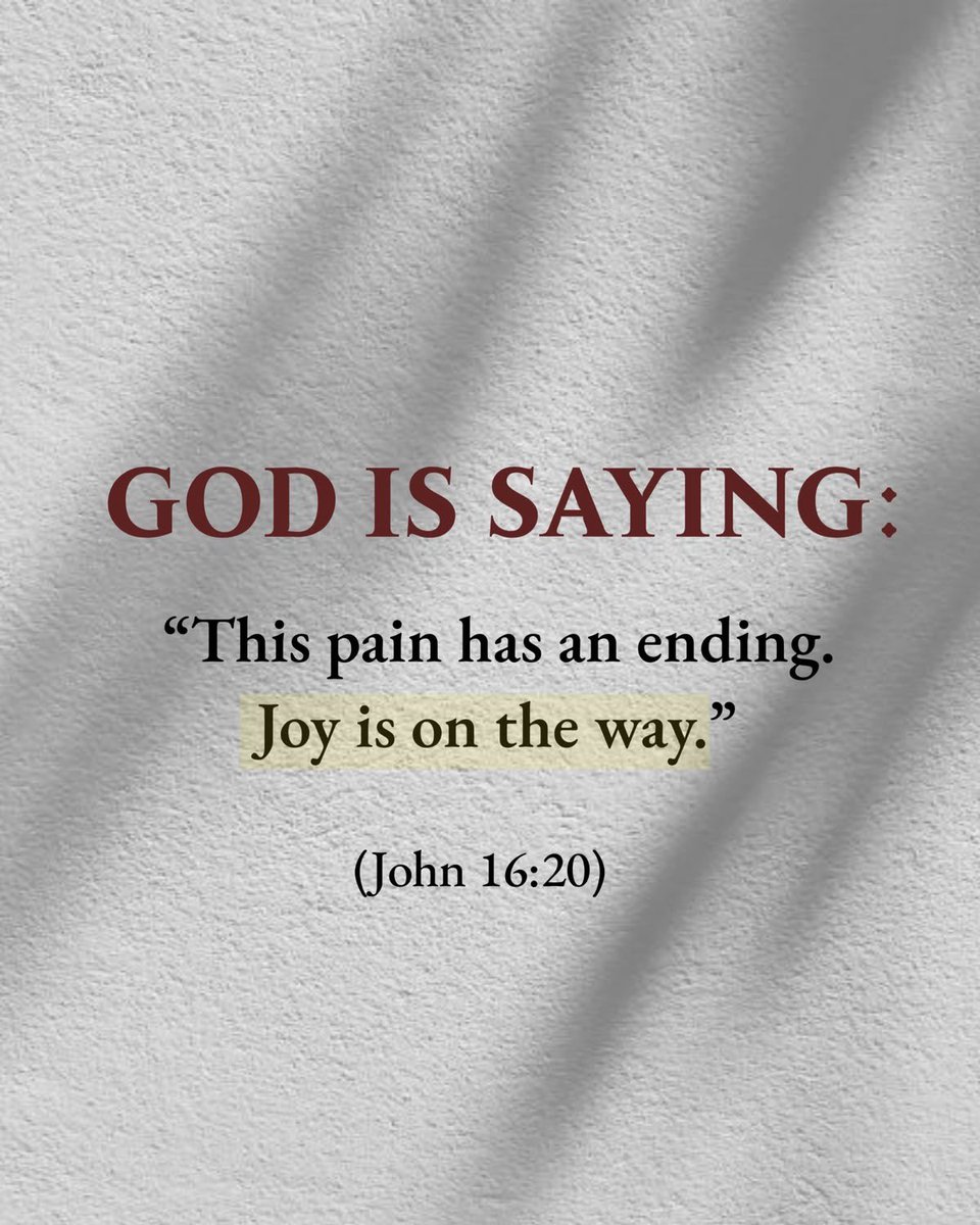 Holy Bible tweet media