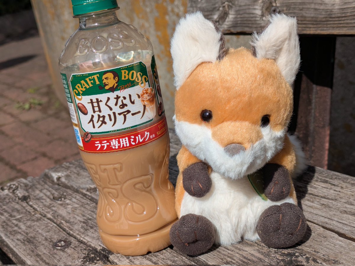 今日のお散歩係はコン太🦊