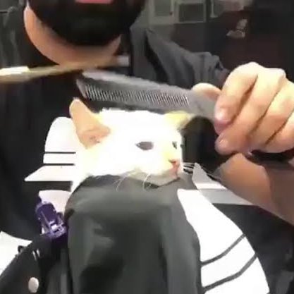 ؘ sonatta ‌‌✿ (@shrimpou) on Twitter photo 