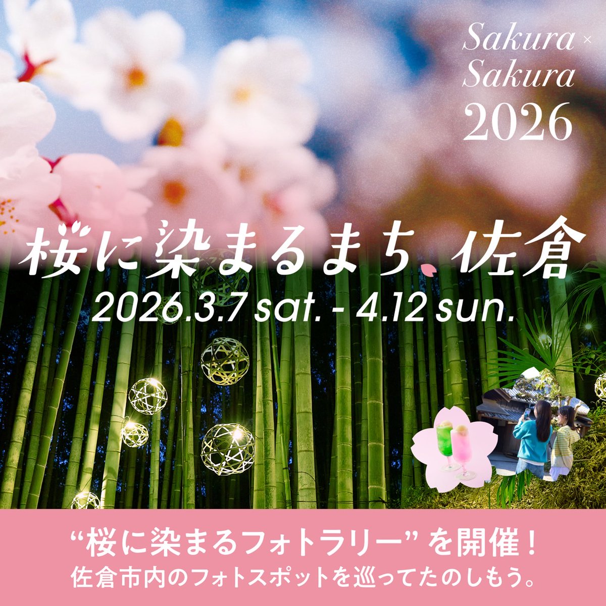 🌸3月7日（土）から『桜に染まるまち、佐倉2026』を開催🌸 桜色に