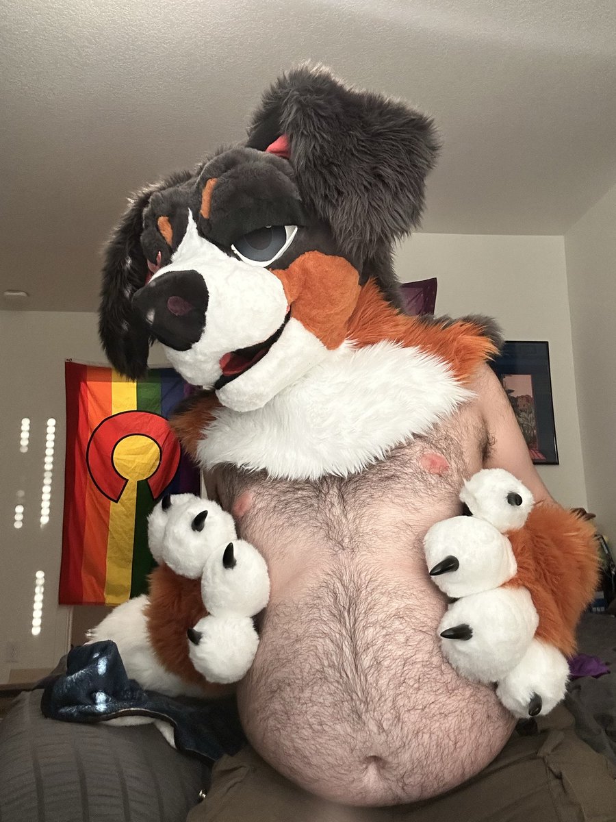 dog yapping bc he’s shadowbanned🏔️ 🔜 AWU’26 tweet media