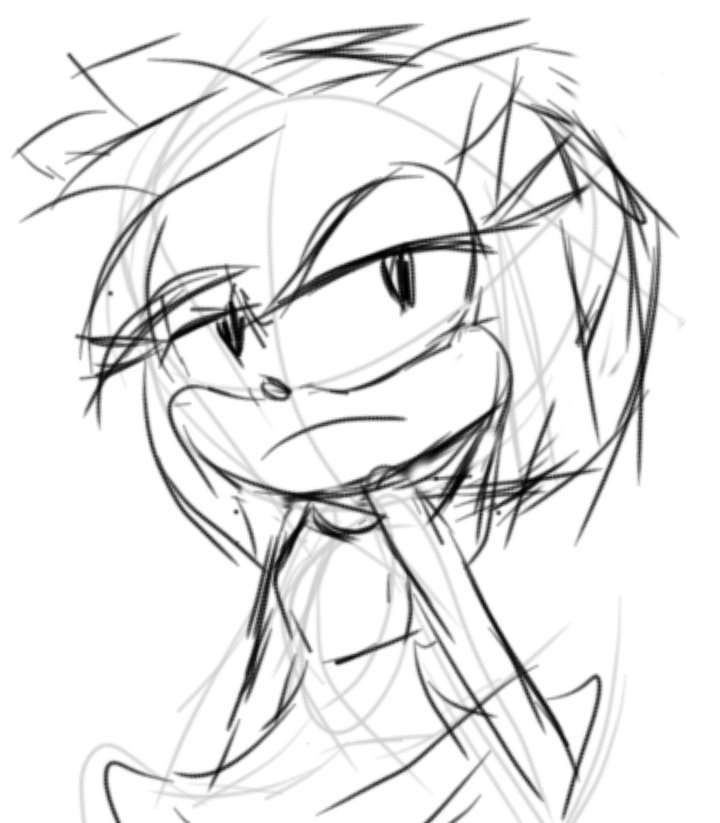 Oh no. Sonic's wife is angry