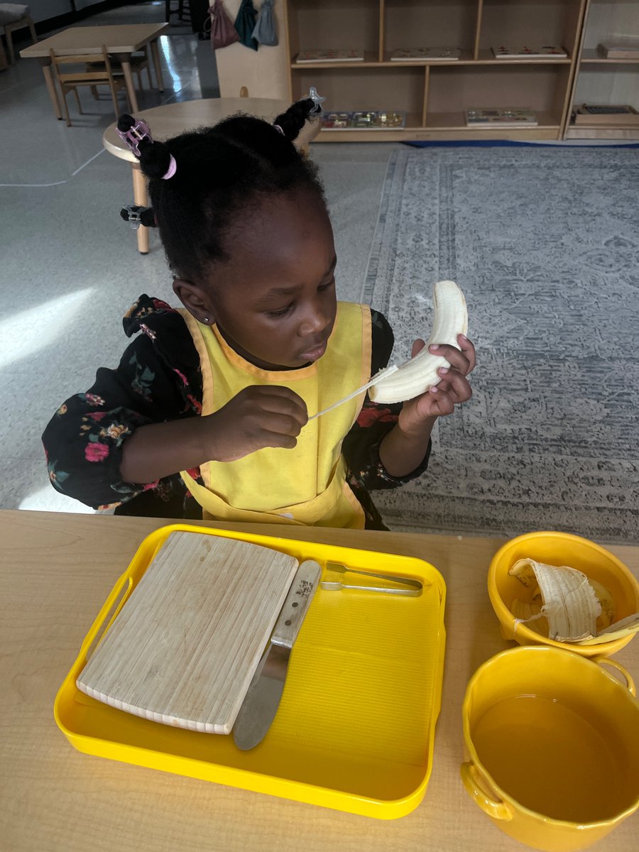 MontessoriHTX's tweet photo. Through practical life experiences and meaningful materials, our youngest learners refine coordination, build confidence, and develop focus in a beautifully prepared environment designed just for them.💛🌿✨
 #Montessori #Toddler #Houston #HoustonPrivateSchools https://t.co/CkAkZ4bmEL