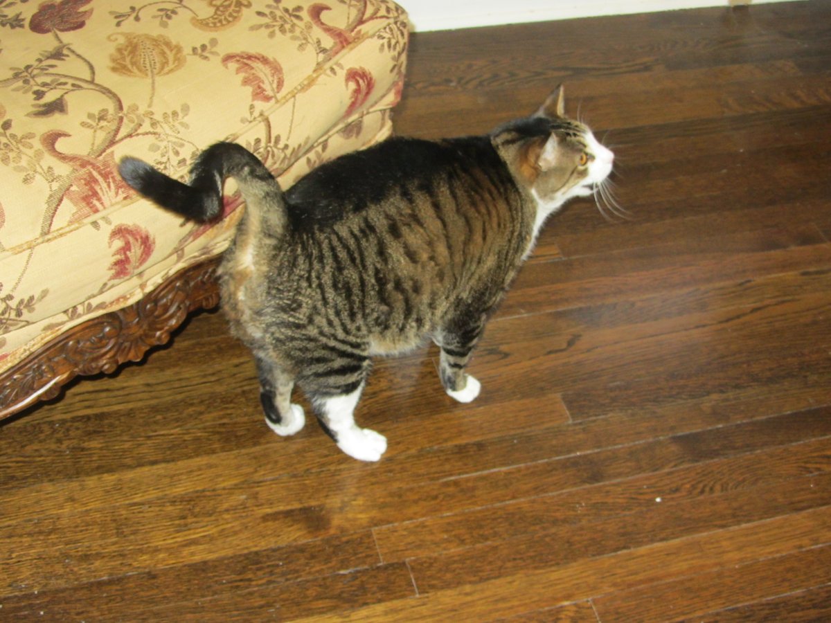 Lucienne de Marlboro tweet media