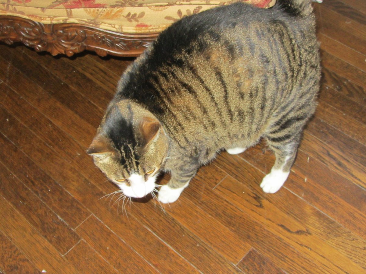 Lucienne de Marlboro tweet media