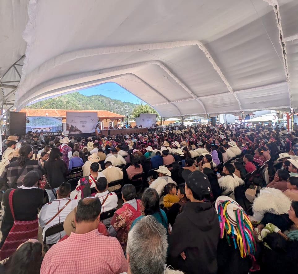 Benjamín Rubio Chávez tweet media