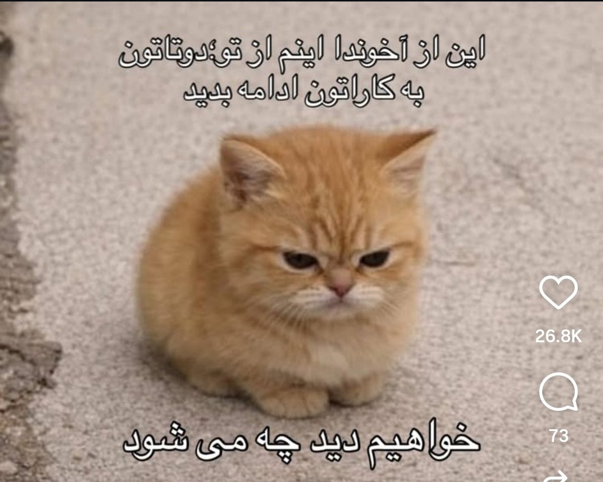 انسانِ نسبتاً معاصر tweet media