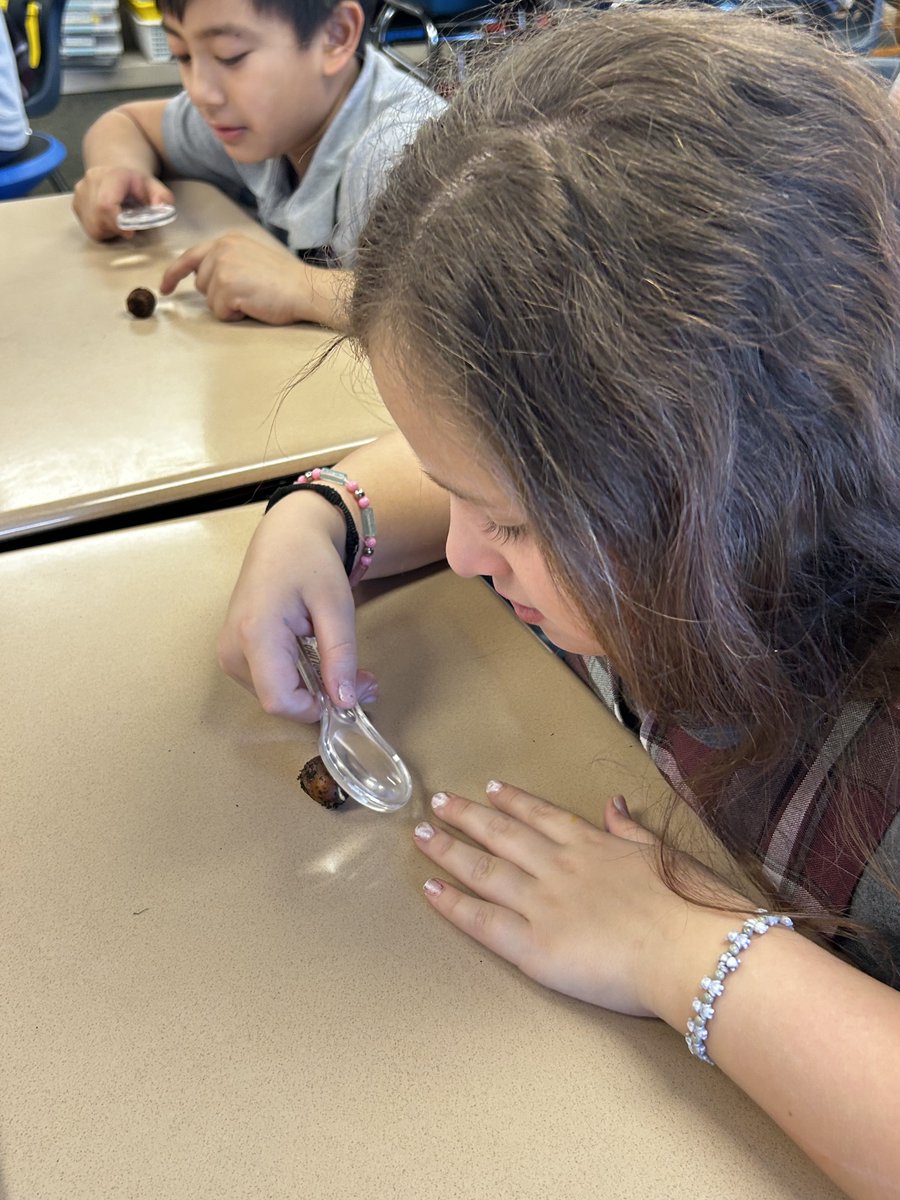 Christine Danhoff tweet media