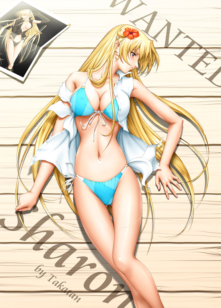 何もない日は裸を載せとけとびりぽんが言ってた!/( 'ω' )\
元は残暑見舞い用のシャロンの水着差分CGですが、ひょんな事からゲームに使う事になって1枚の絵で230枚ほど色んな差分を作った不思議な絵。
暇な人はゲームをプレイして見るといいよ。
win11で動くかはしらない…😗
https://t.co/5YlvjepFrW 