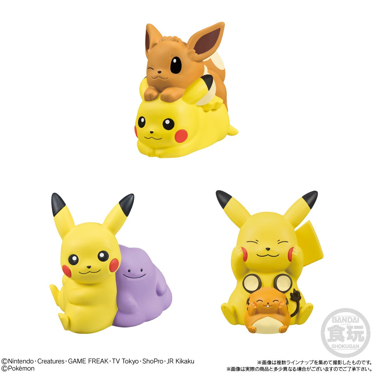 ポケモン30周年】 「ポケモンキッズ 30周年スペシャル vol.2編」の情報