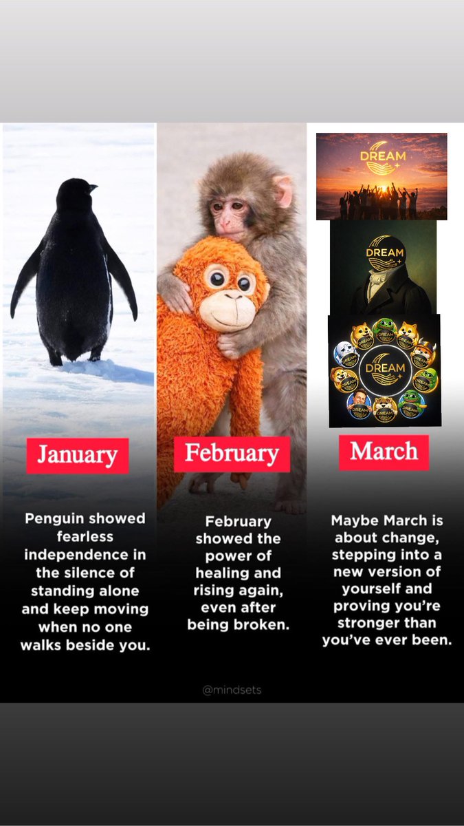 Dreams Into Reality 🍀 tweet media