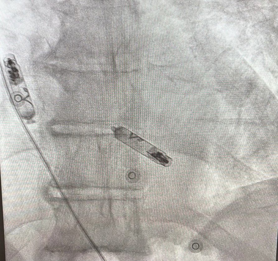 Andreas Müssigbrodt tweet media