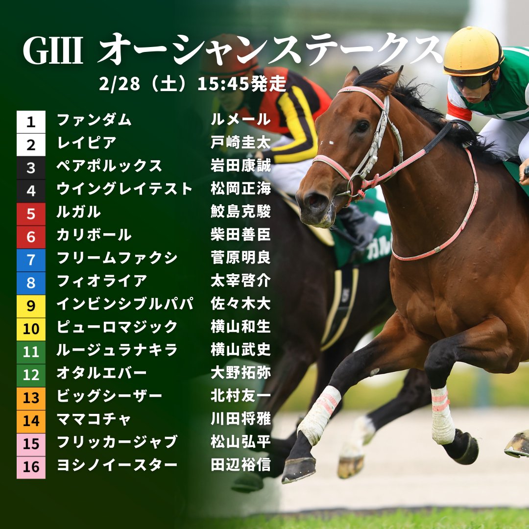 JRAVAN_info's tweet photo. 【#オーシャンステークス】枠順が決定！👏 昨年の毎日杯覇者ファンダムは1枠1番、連覇を狙うママコチャは7枠14番となりました。#オーシャンS https://t.co/Wsp8gEThD9