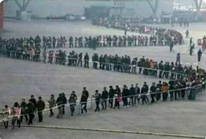 Lauren diciendo que va a aprender a cocinar pa cocinarle a su futura esposa brasileña 

C y las brasileños al tiro