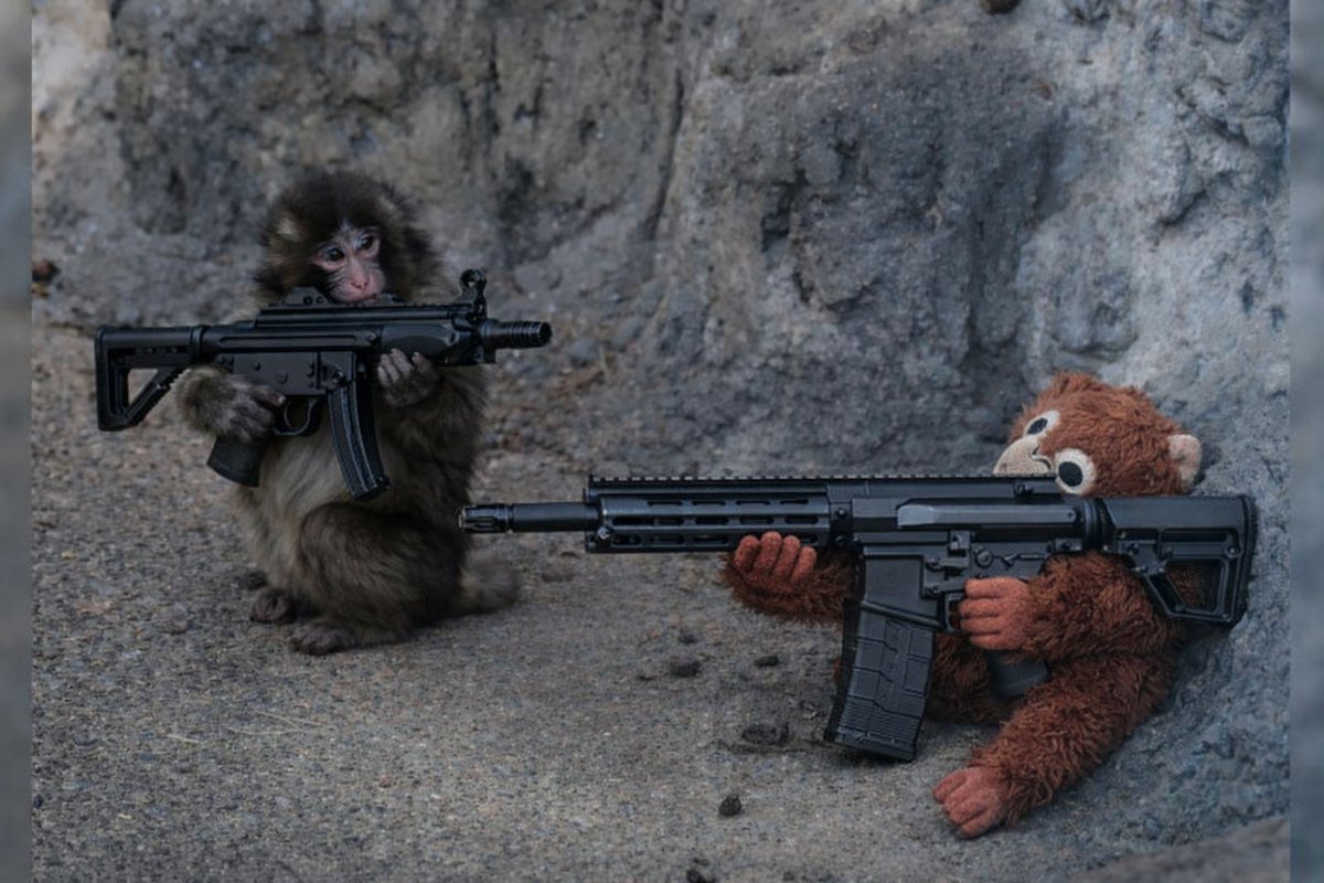 Zenith Firearms tweet media