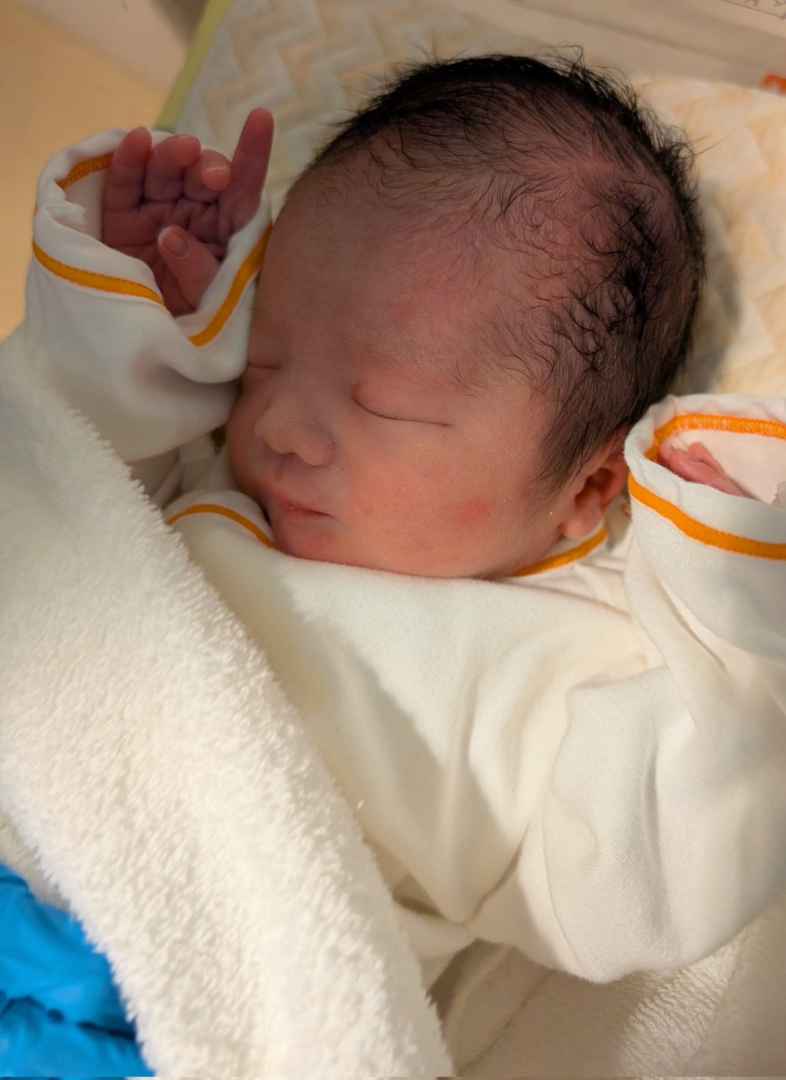 Benson Sun tweet media