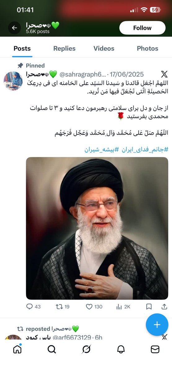 پناه ایران (مامان پلها) tweet media