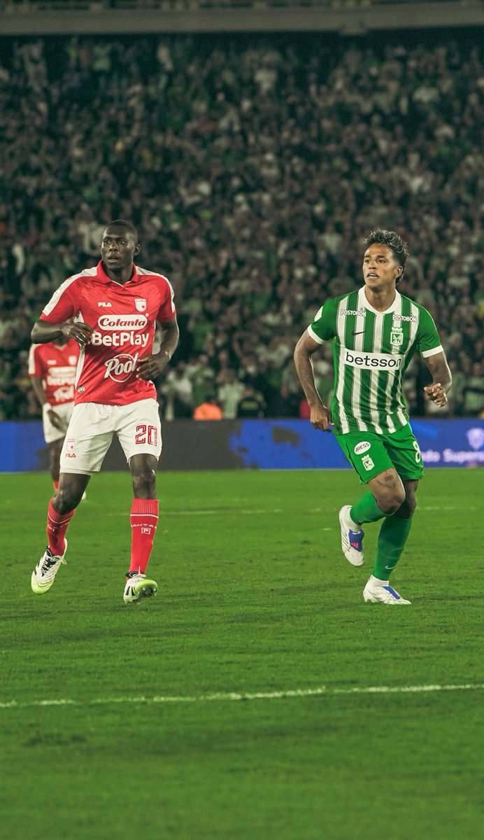 Tribu Verdolaga tweet media