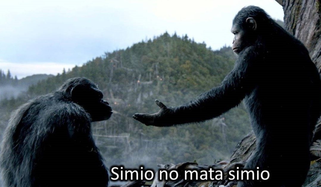 Aleckboy's tweet photo. @TendenciasMX Es inteligencia artificial, simio no mata simio 🤣😂🤣😂🤣😂 https://t.co/qKlyXRQ8E9