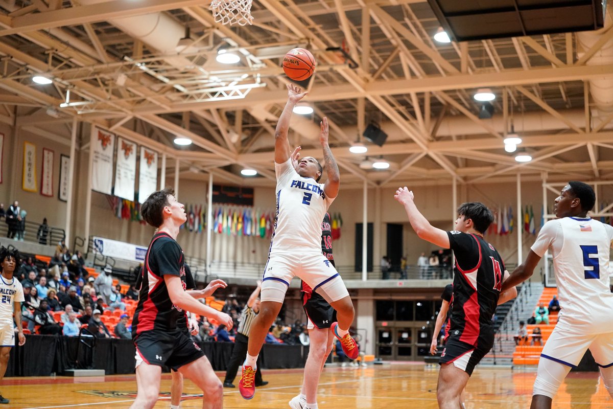 Harry Scull Jr tweet media