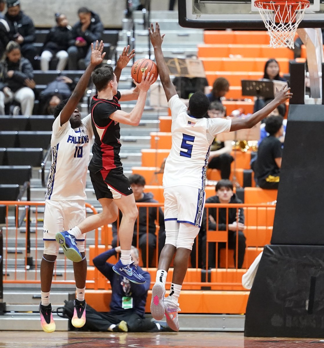 Harry Scull Jr tweet media