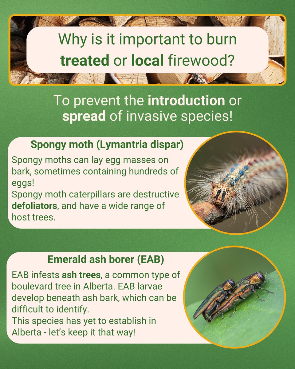 Entomological Society of Alberta tweet media