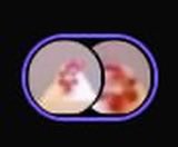 nuttchicken🇮🇷 tweet media