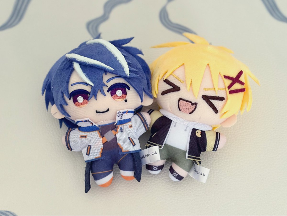 ___chat_noir_et's tweet photo. 届いてました！可愛い〜〜〜！！！
大事に育てます https://t.co/Y4QOfNUIRA