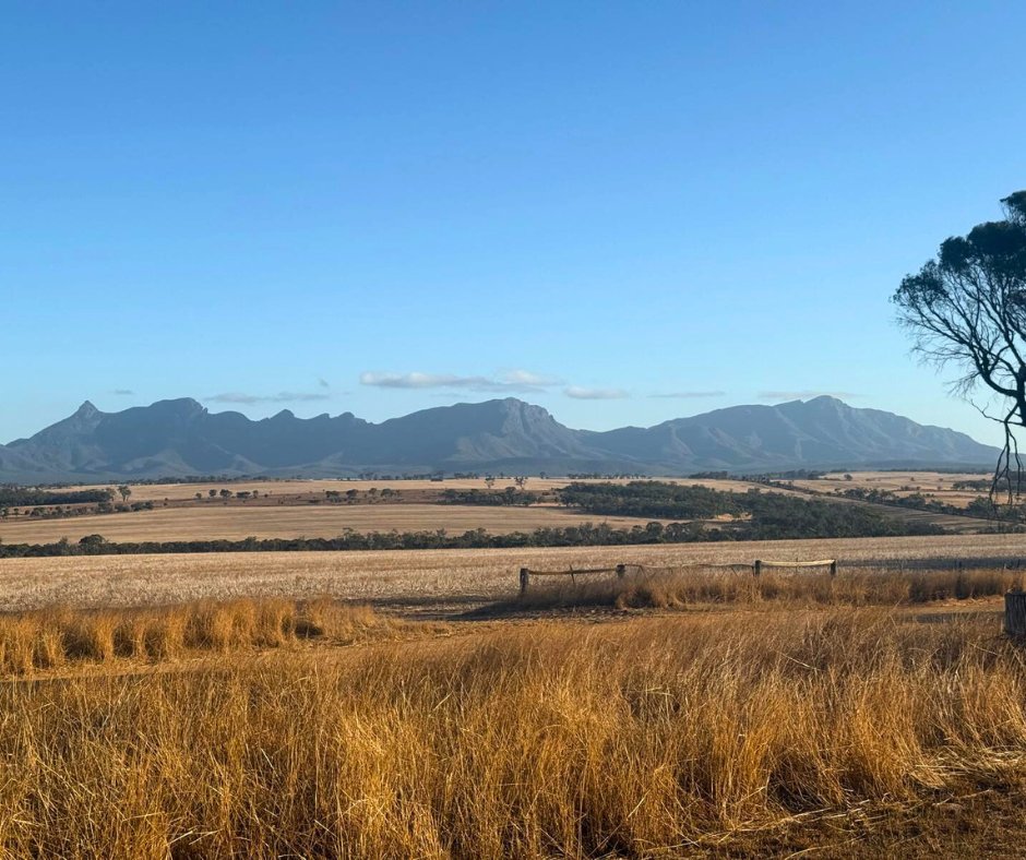 LIENERT ENGINEERING tweet media