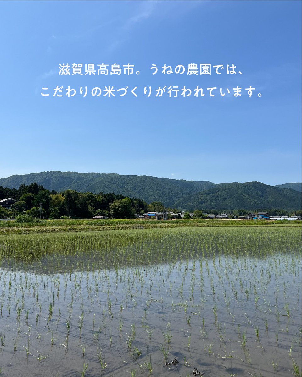 Marble.co tweet media