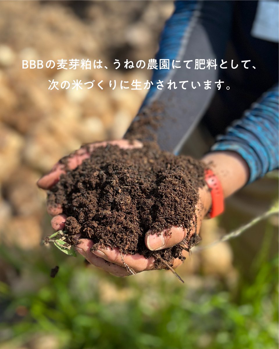 Marble.co tweet media