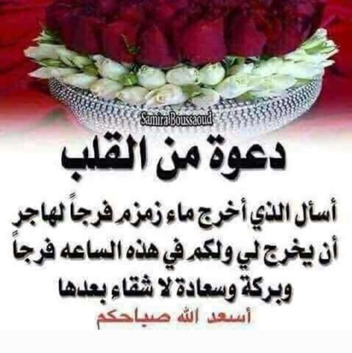 Wafaa Abd Elhamid خريجه علوم سياسيه جامعه القاهره (@elewawafaa) on Twitter photo 