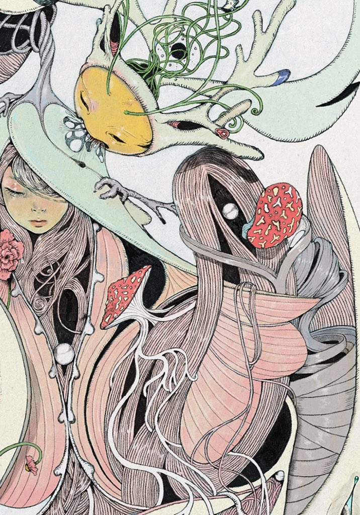 𝗸𝗼𝗹𝗮𝗵𝗼𝗻 ࿊ tweet media