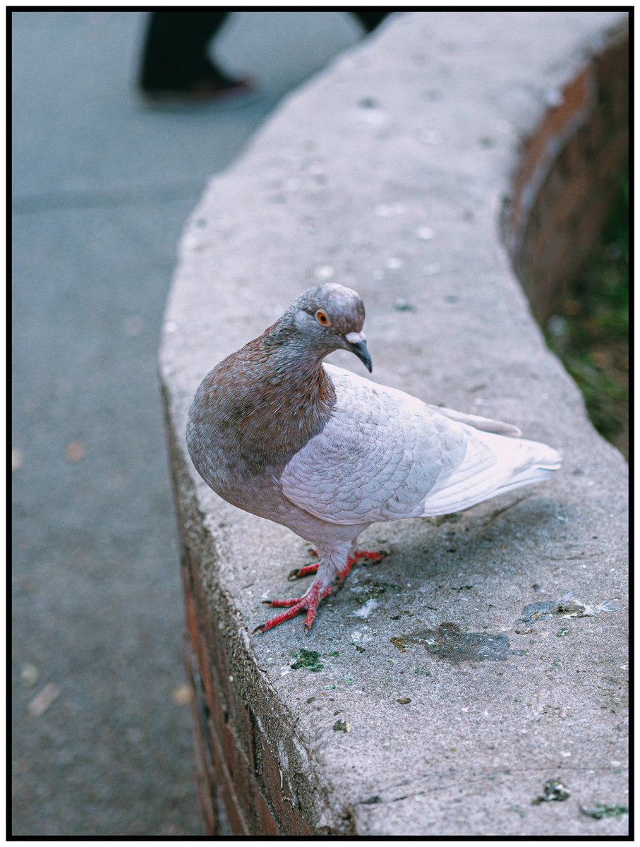 robotbackwards tweet media