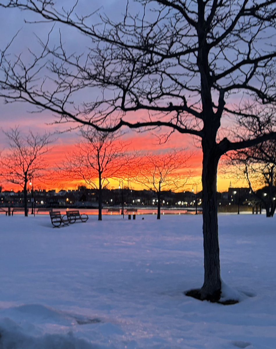 WriteHandMan tweet media