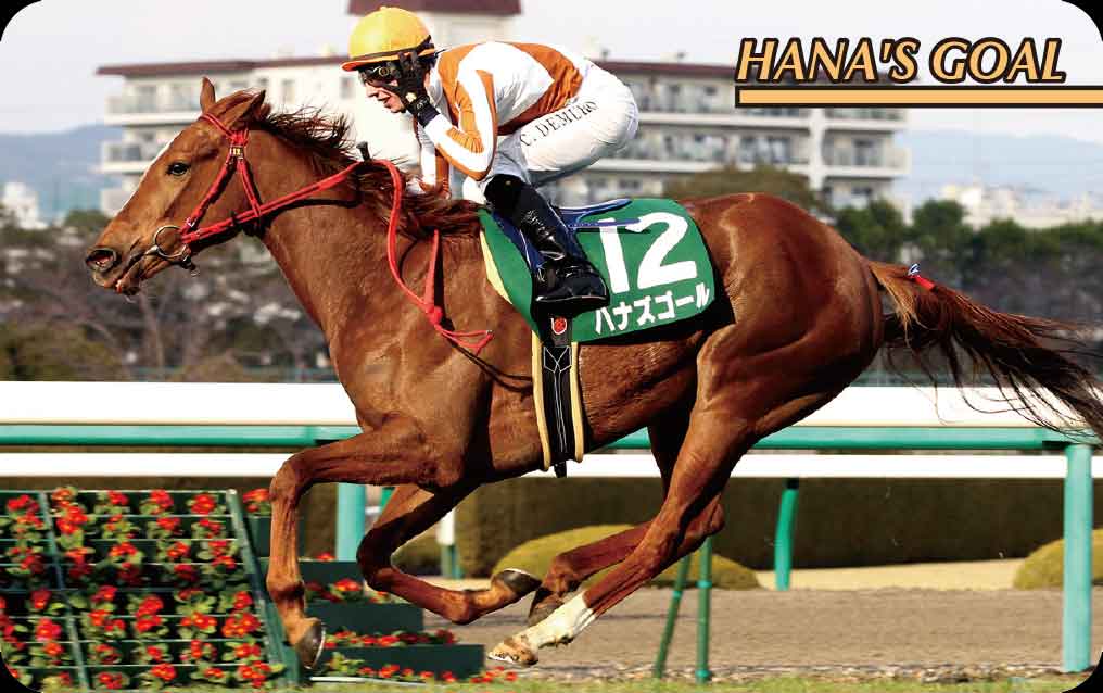 まねき馬 (@manekiumaclub) / Posts / X