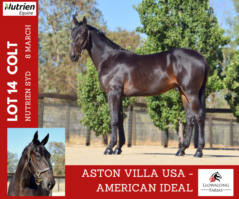 Southcombe Stables (@southcombestbls) on Twitter photo 